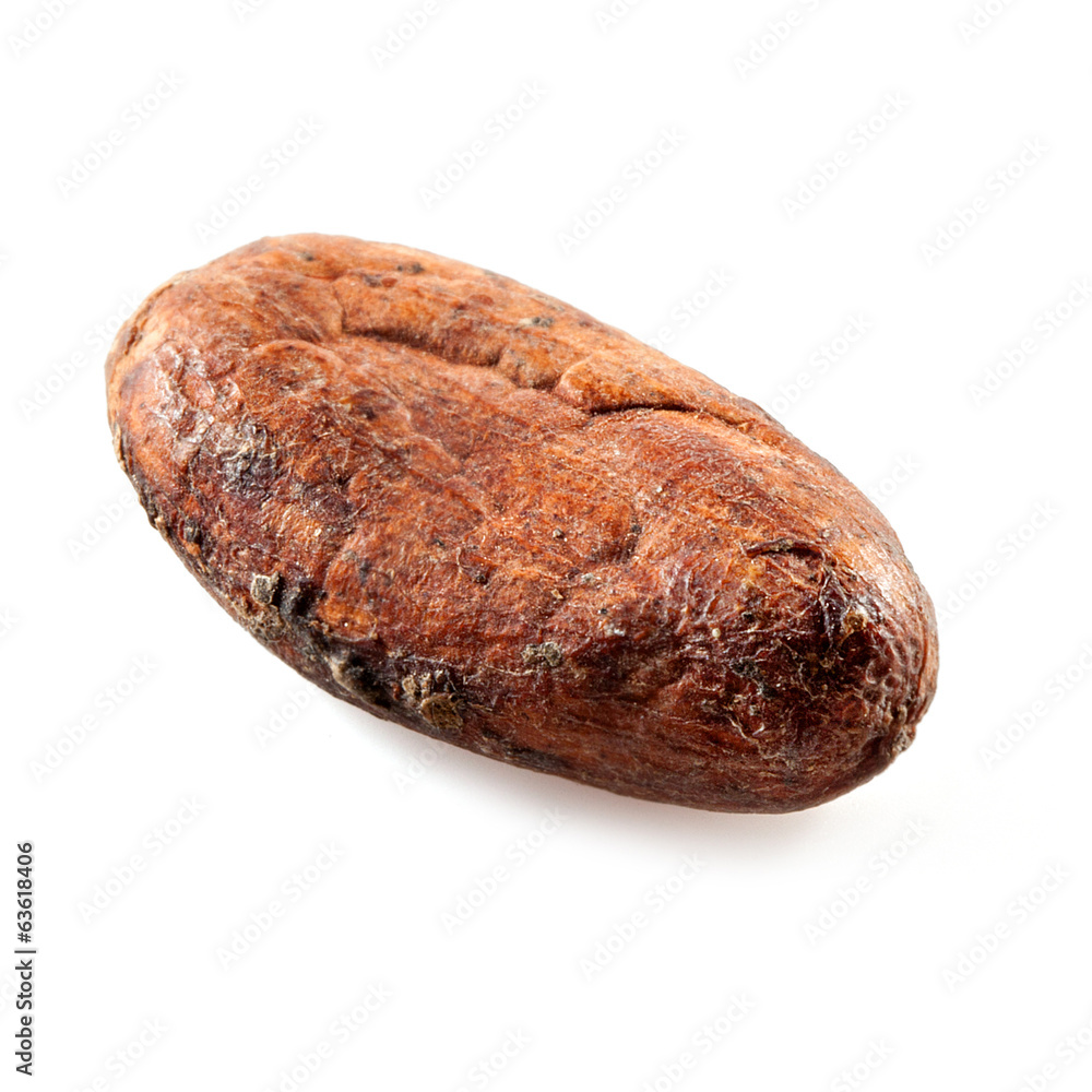 Cocoa Bean isolated on white