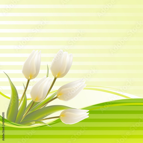 White tulip spring flowers bouquet for sale.