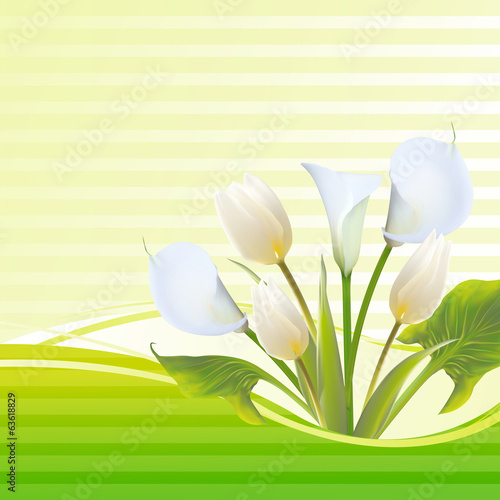 White tulip spring flowers bouquet