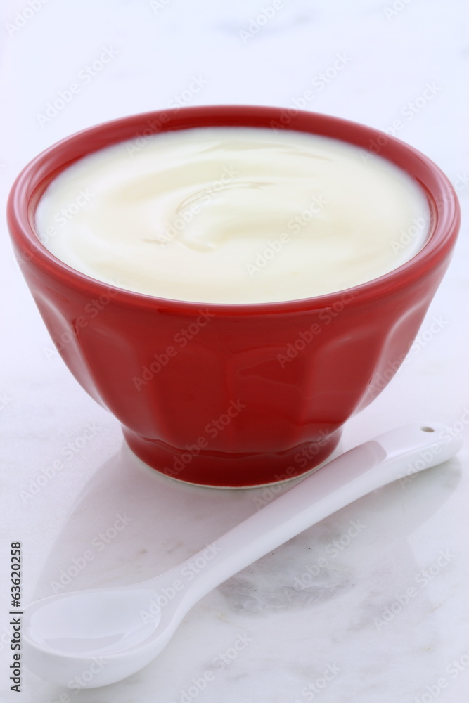 Fresh plain yogurt Fresh plain yogurt