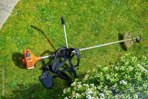 Slika na platnu corded string trimmer in a park