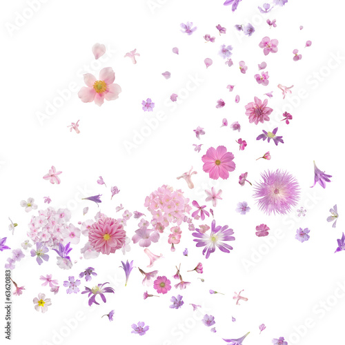 Pink Blossom Flower Buds Breeze