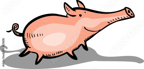 Funny pink pig