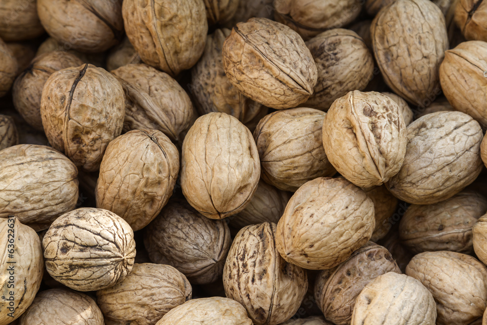 Nuts Nuts