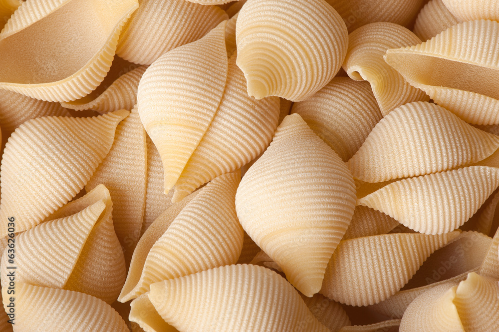 shell pasta shell pasta