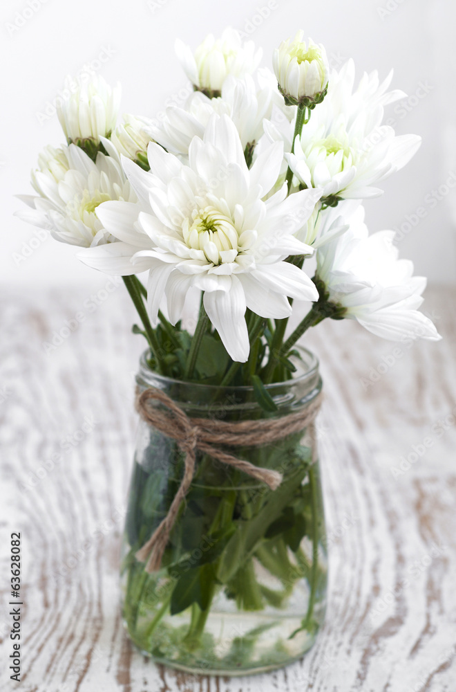 White Chrysanthemum