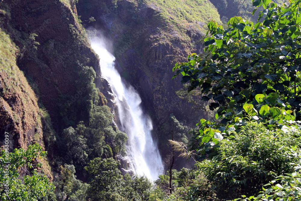 Obraz premium Forest and waterfall