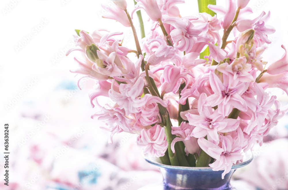 Naklejka premium bouquet of hyacinth macro