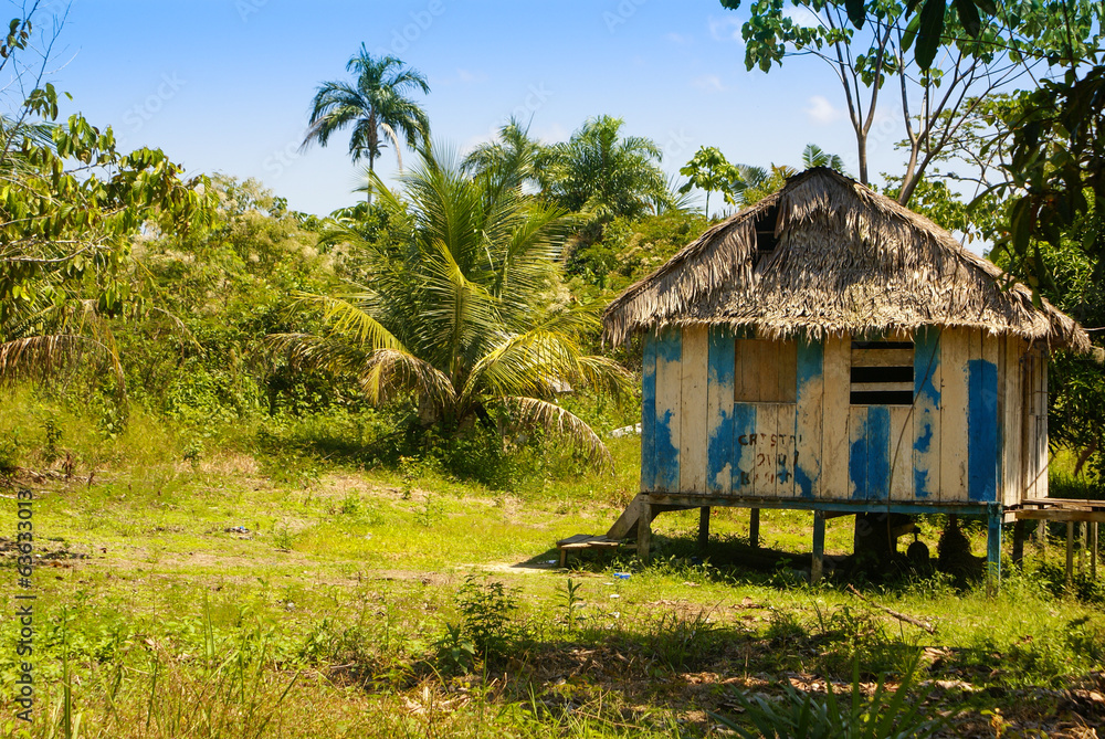 Peru, Peruvian Amazonas landscape. The photo present typical ind