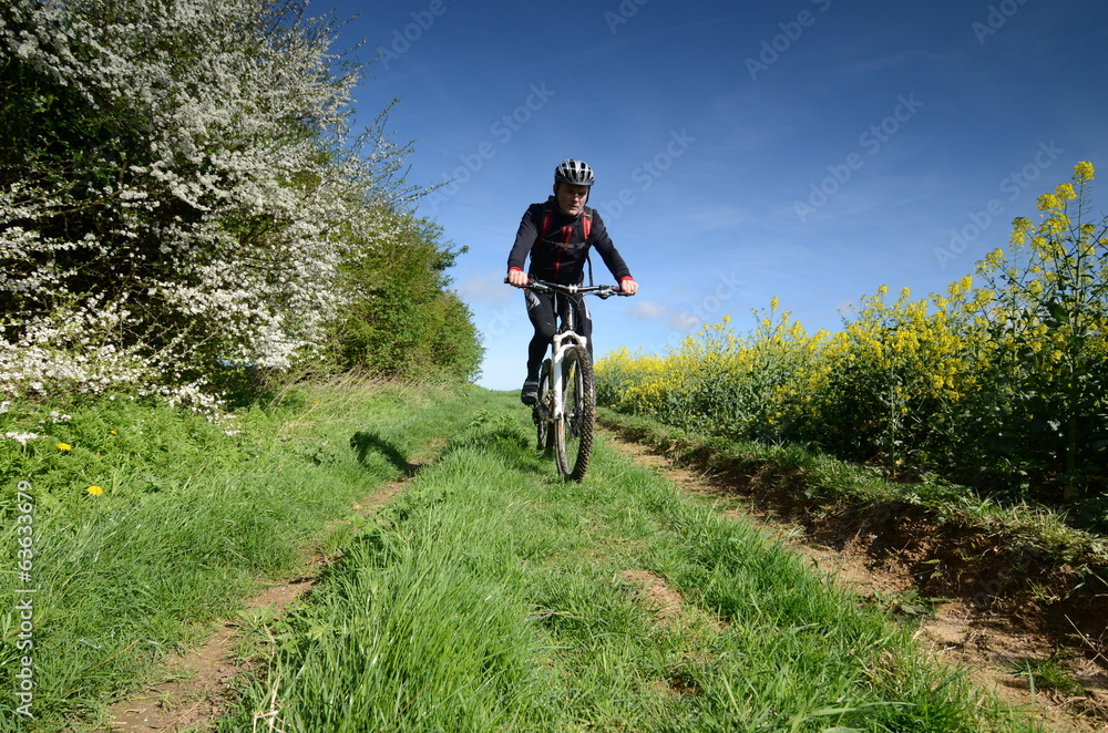 vtt au printemps