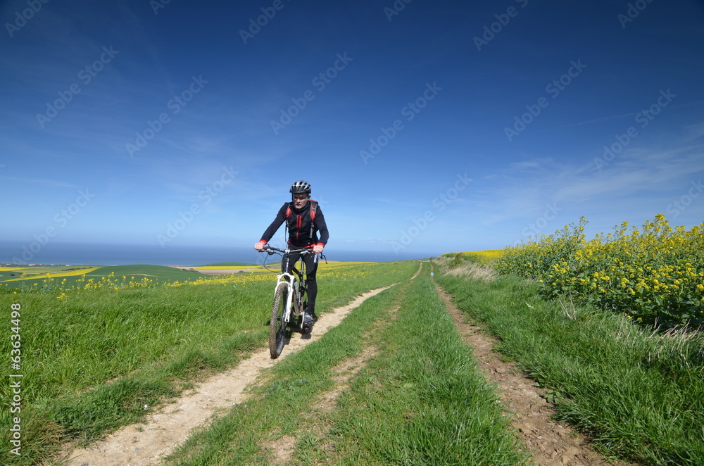 vtt au printemps