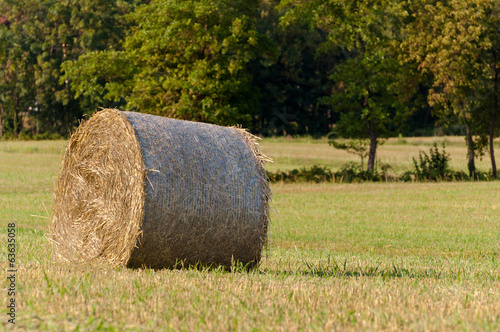 Hay roll on field background trees