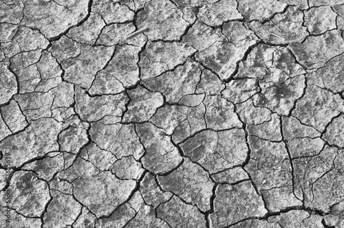 details of Dry cracked soil