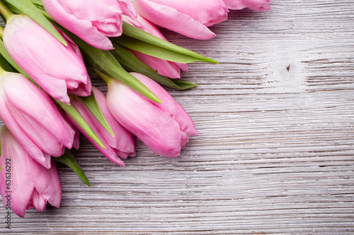 Tulip.