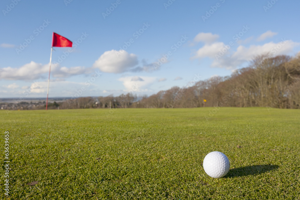 Obraz premium Golf green