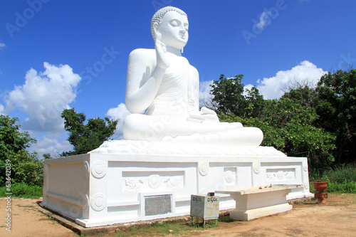 White Buddha photo