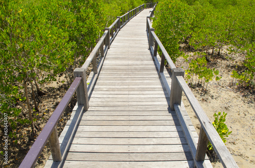 Fototapeta Naklejka Na Ścianę i Meble -  Wooden path in mangrove forest