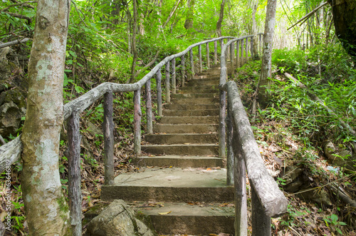 Bridge over the waterfall in Forest