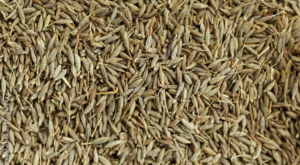 cumin seeds background cumin seeds background