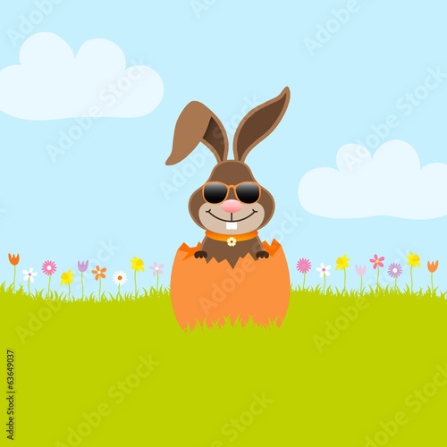 Bunny Sunglasses Pink Eggshell Meadow
