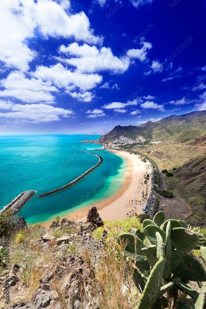 Fototapeta premium Playa de Las Teresitas general view vertical