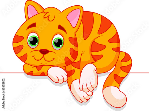 Funny cat cartoon
