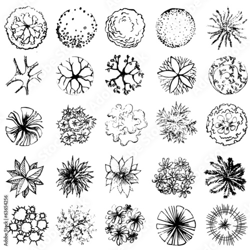 A set of treetop symbols, for architectural or landscape design