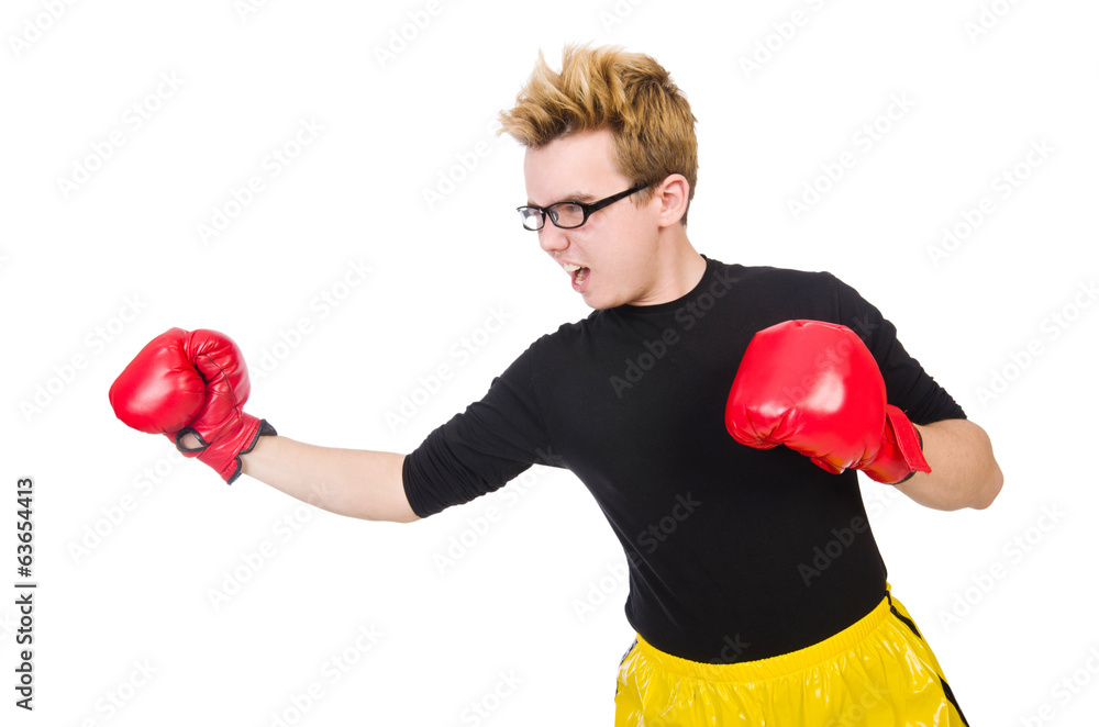 Funny boxer isolated on the white background Funny boxer isolated on the white background