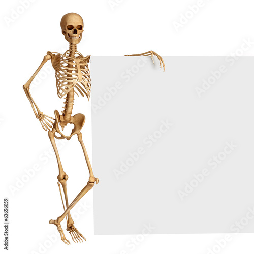 human skeleton with sign photo