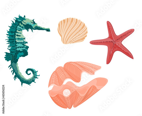 Collection marine life seahorse starfish and seashells