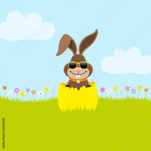 Bunny Sunglasses Yellow Eggshell Meadow