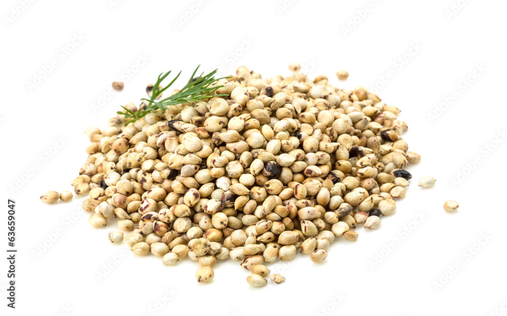 Soya bean Soya bean