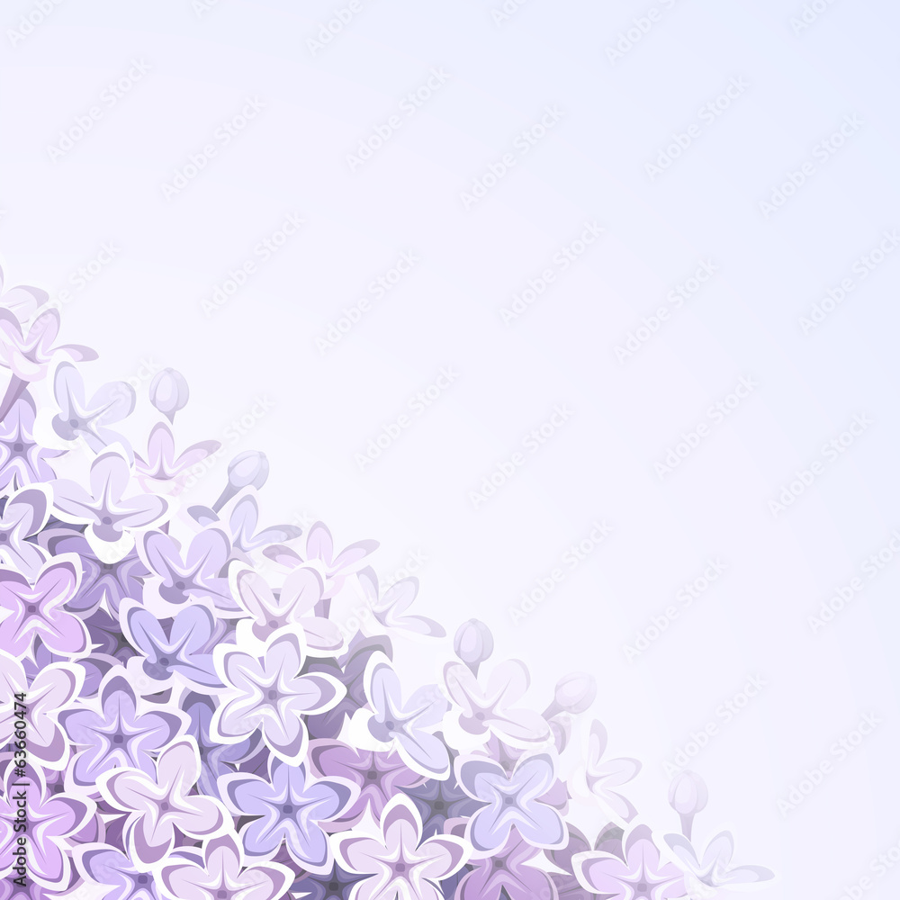 Background with lilac flowers. Vector eps-10.