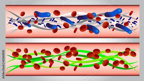 illustration of  Red blood cells and bacteria in artery vector
