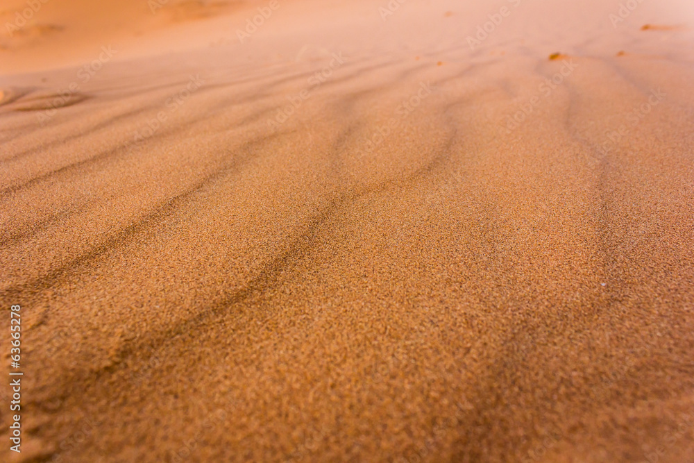Texture of the Sahara Texture of the Sahara