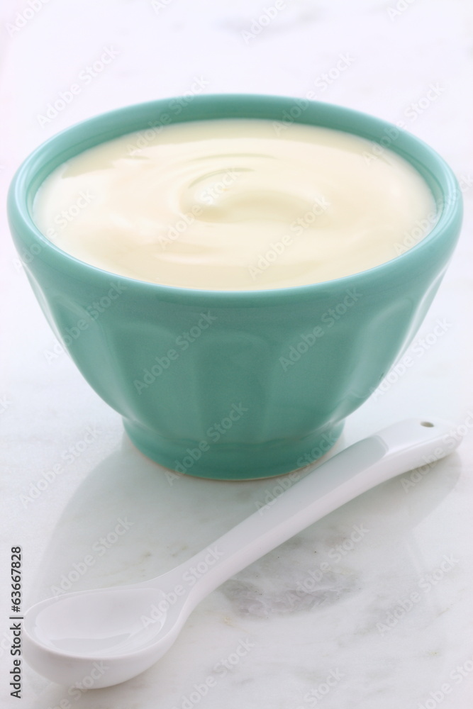 Fresh plain yogurt Fresh plain yogurt