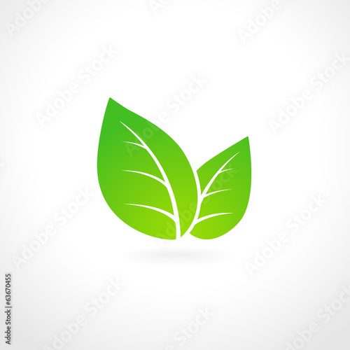 Green leaf ecology emblem