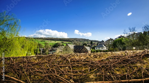 Old wall overgrown with vines reveals beautiful village view photo