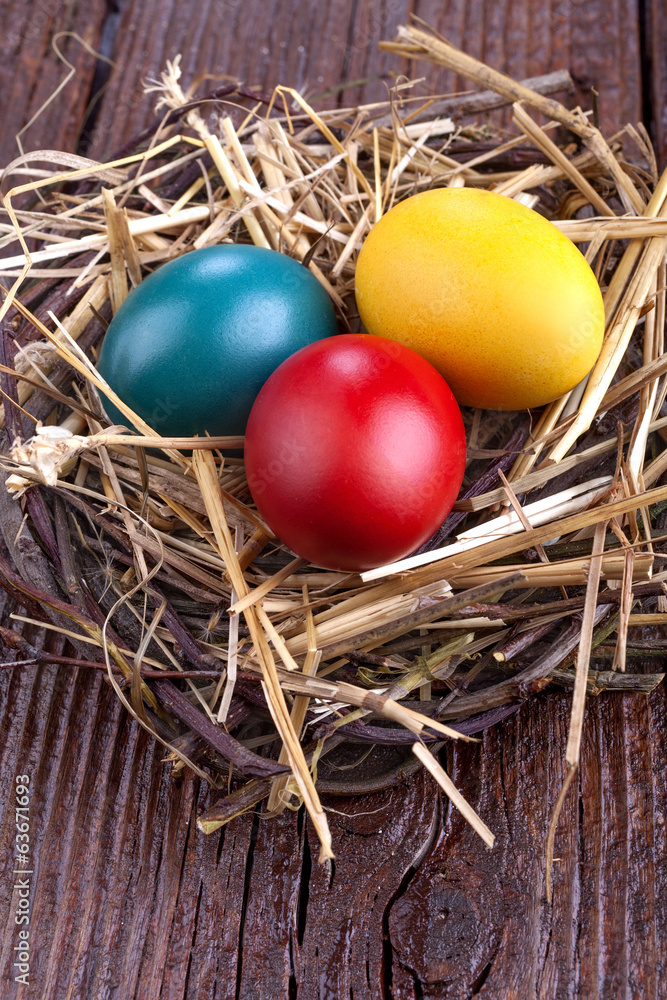 painted eggs in the nest for the celebration of Easter painted eggs in the nest for the celebration of Easter