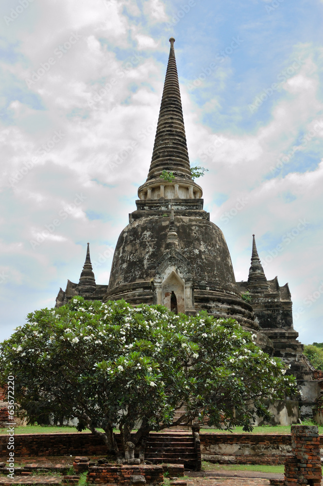 Thailand -  Ayutthaya historical park