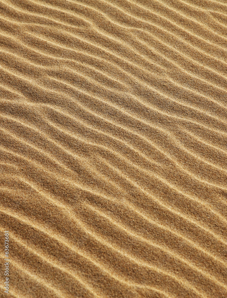 Sand Sand