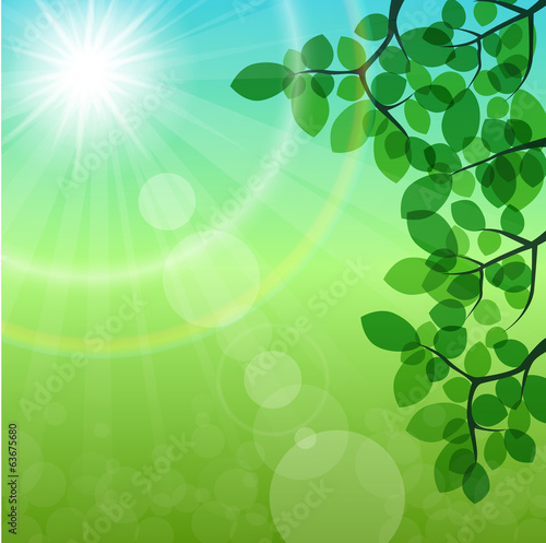 Sunshine and Fresh Green Leaves Background