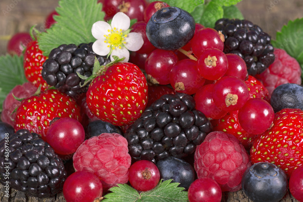 Wild berries Wild berries