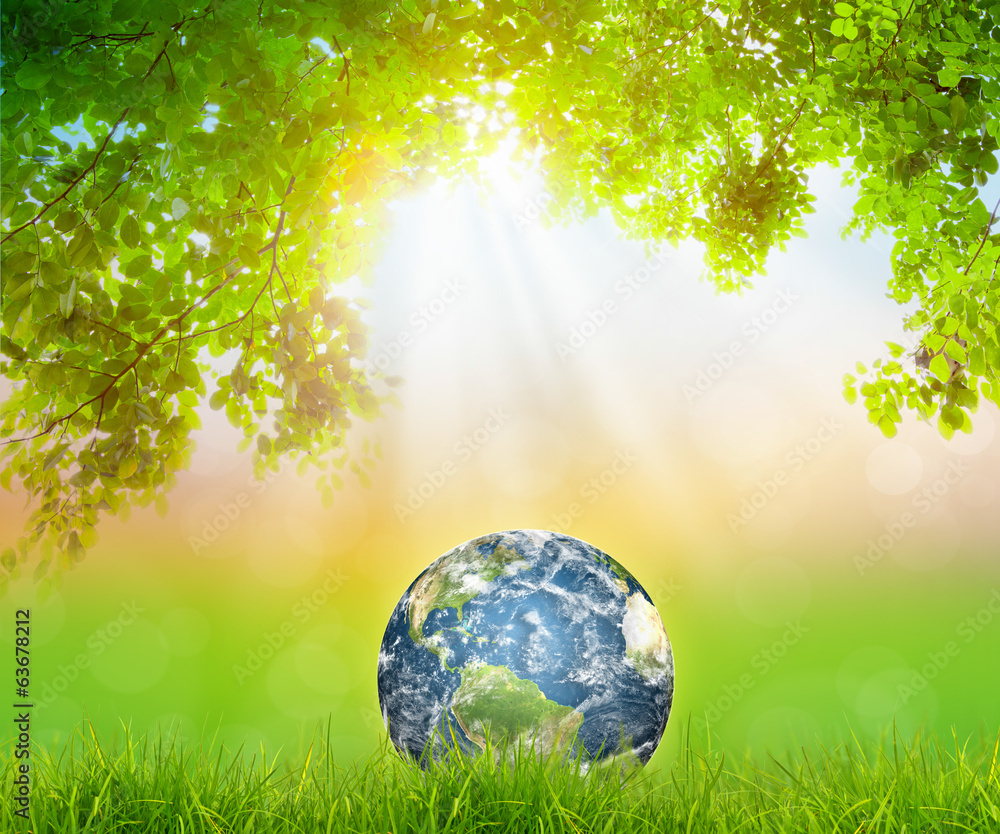 Earth on Fresh spring green grass with green leaf (Elements of t