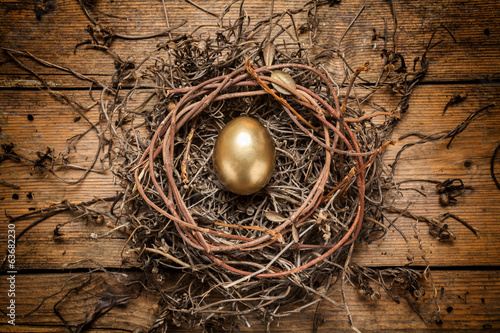 Golden egg in the nest