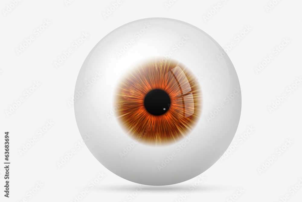 human eye human eye