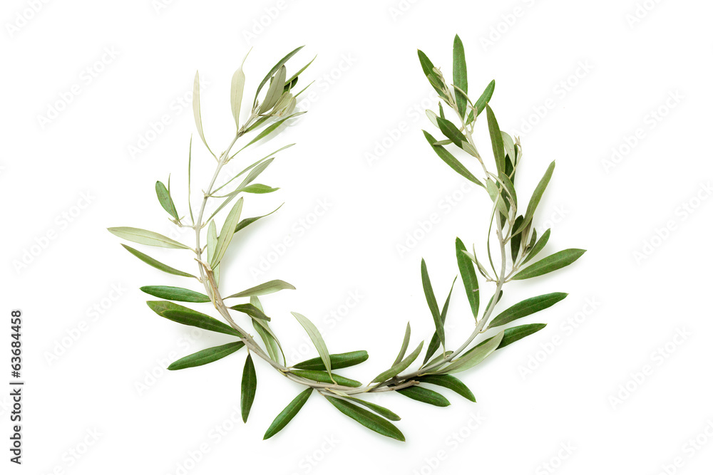 Fototapeta premium Olive tree wreath