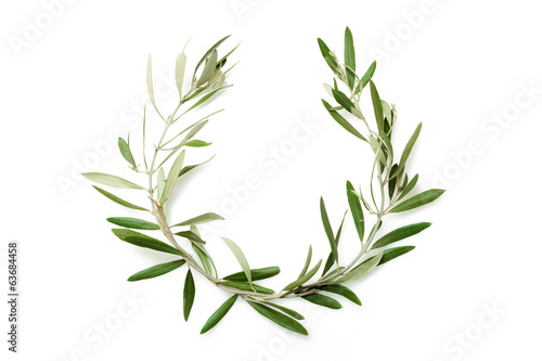 Olive tree wreath