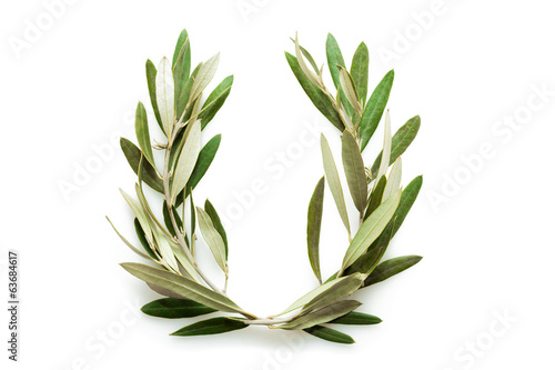 Olive tree wreath