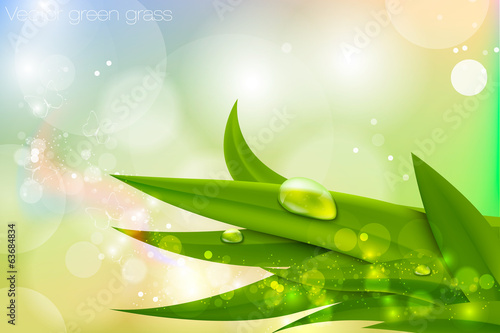Vector background in pastel colors with green grass and dew